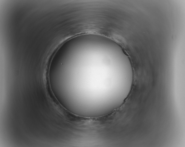 X0000089680098200707051614