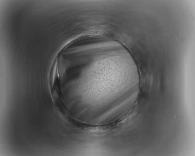 X0000089680100200707051614