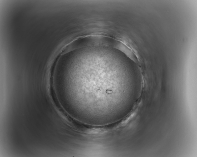 X0000089680101200707051614