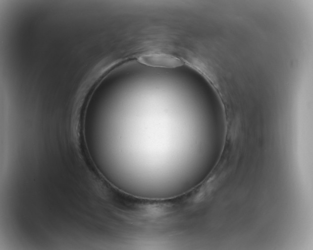 X0000089680103200707051614