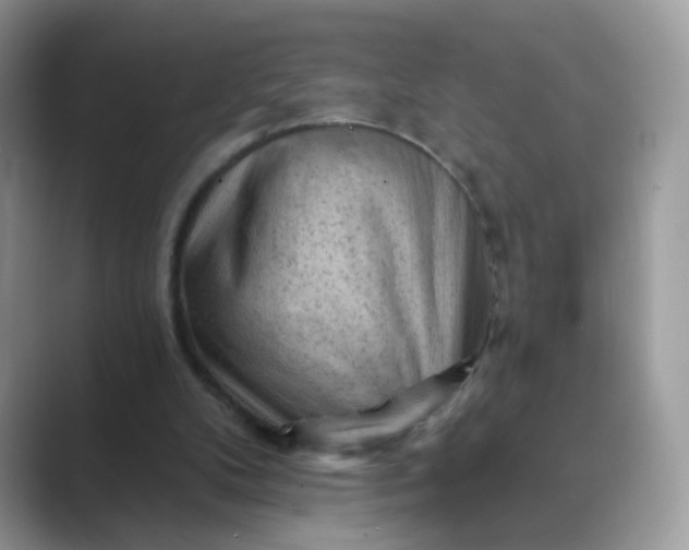 X0000089680104200707051614
