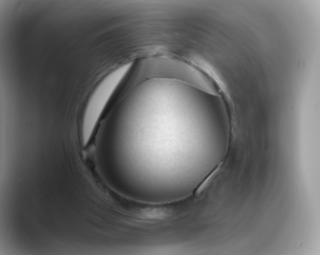 X0000089680105200707051614
