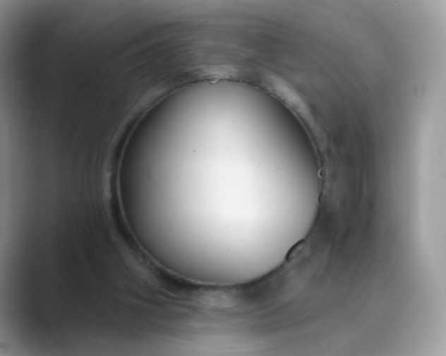 X0000089680106200707051614