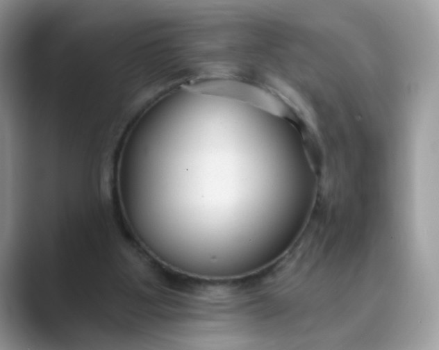 X0000089680107200707051614