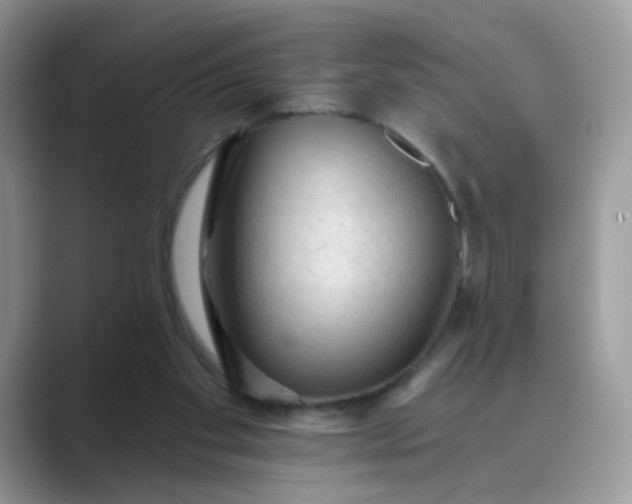 X0000089680109200707051614