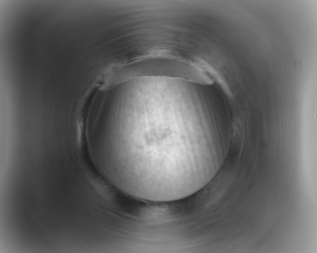 X0000089680110200707051614