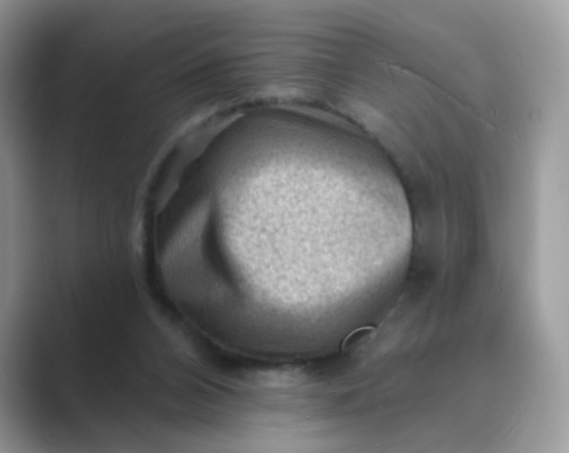 X0000089680112200707051614