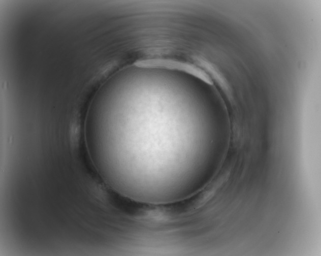 X0000089680113200707051614