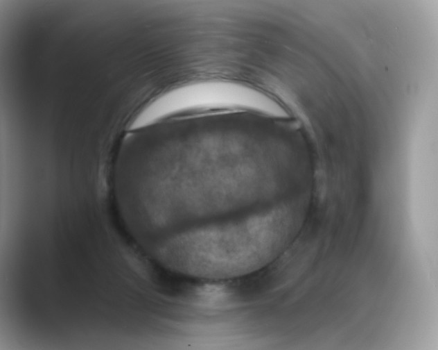 X0000089680114200707051614