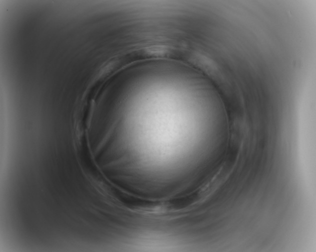 X0000089680116200707051614