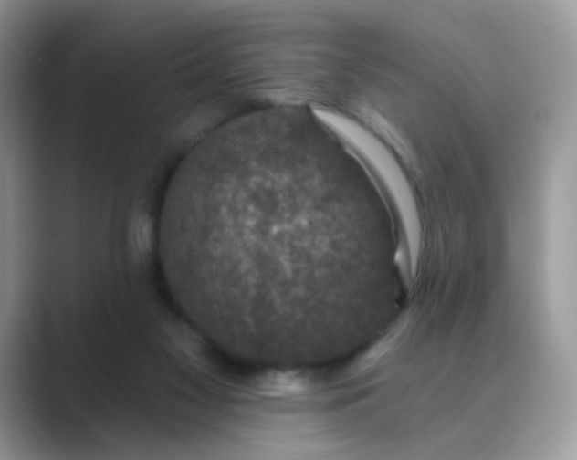 X0000089680117200707051614