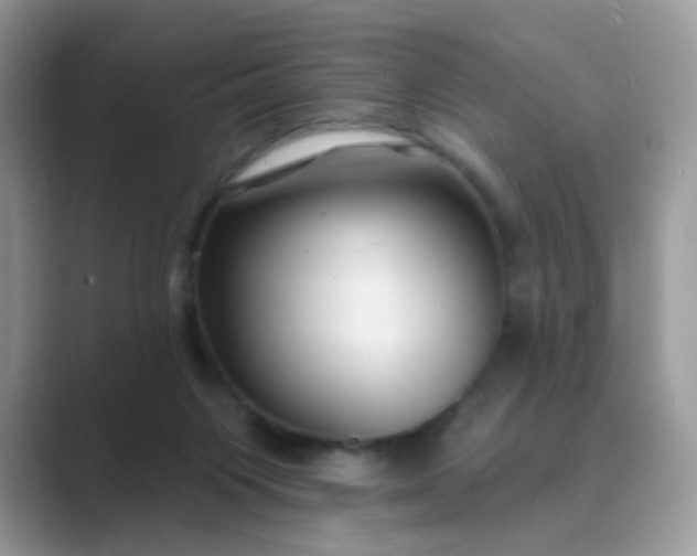 X0000089680119200707051614