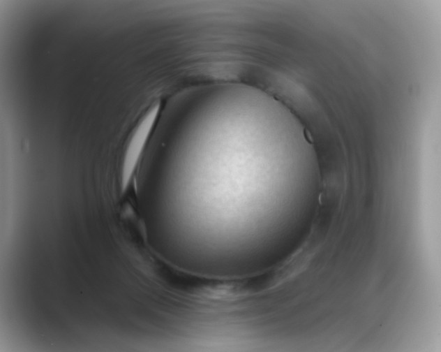 X0000089680120200707051614
