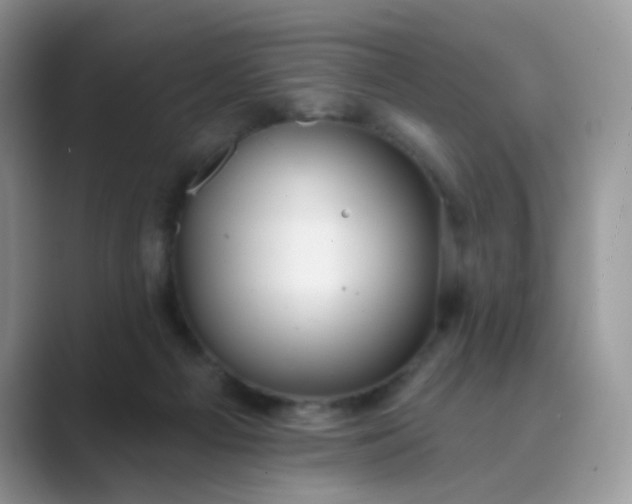 X0000089680121200707051614