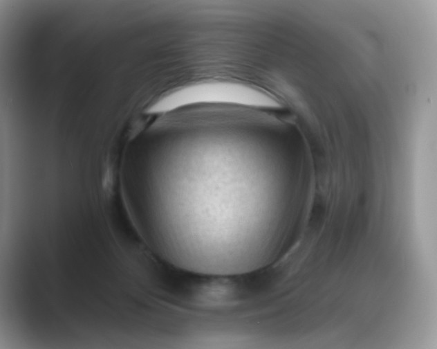 X0000089680124200707051614