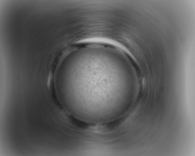 X0000089680125200707051613