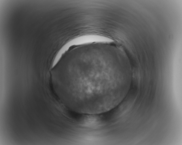 X0000089680127200707051613