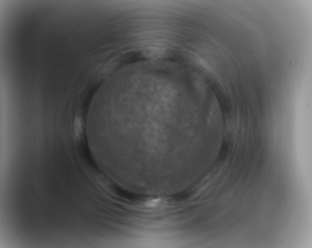 X0000089680130200707051613