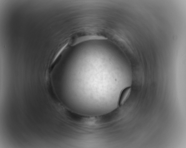 X0000089680131200707051613