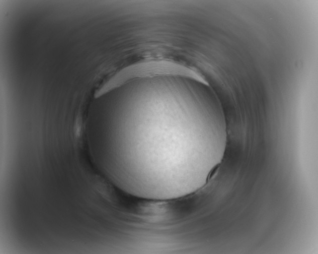 X0000089680132200707051613
