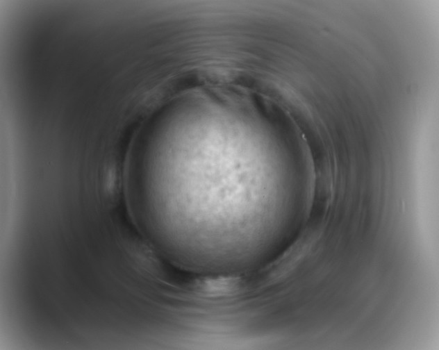 X0000089680134200707051613