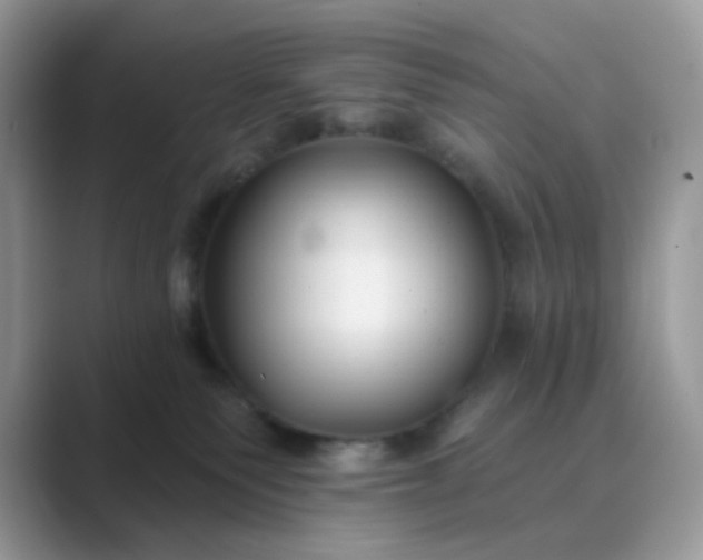 X0000089680135200707051613