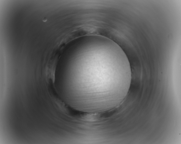 X0000089680136200707051613