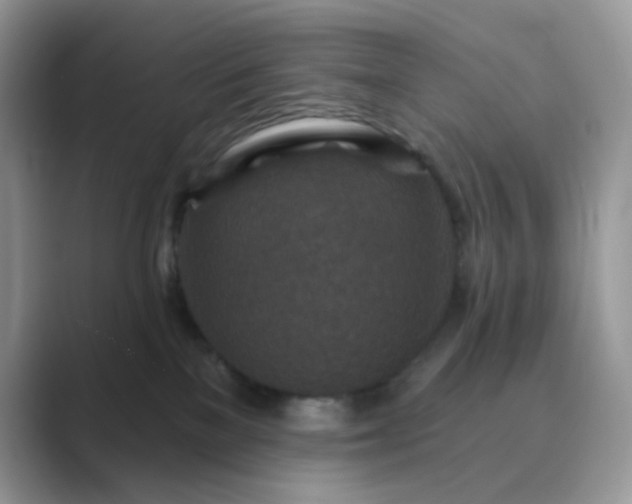 X0000089680137200707051613