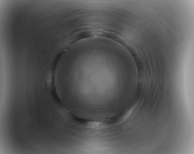 X0000089680139200707051613