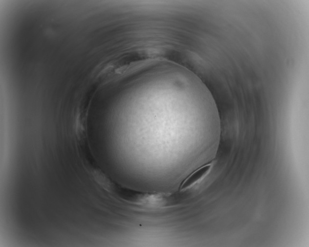 X0000089680140200707051613