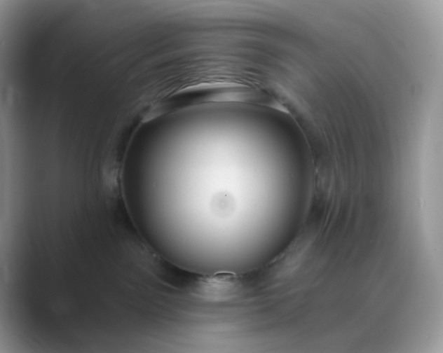 X0000089680141200707051613