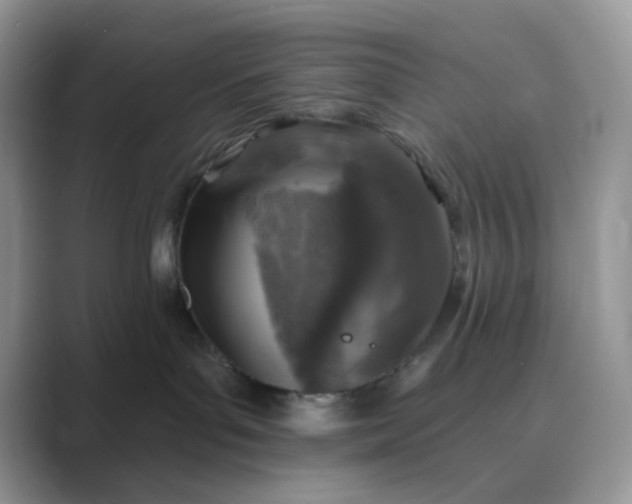 X0000089680143200707051613