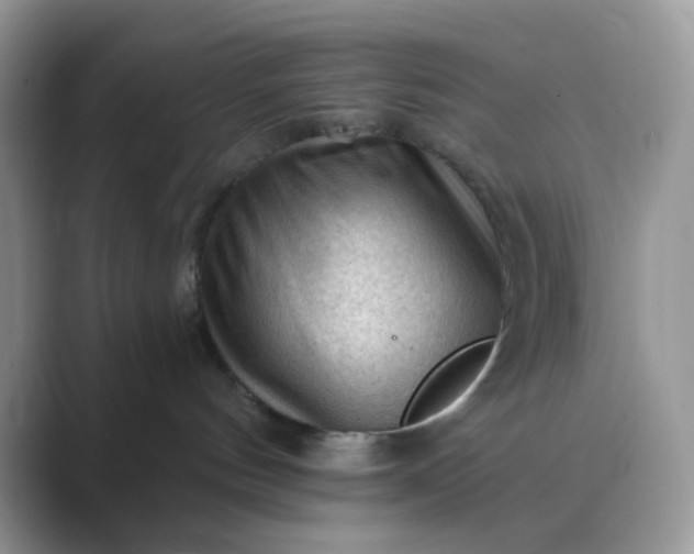 X0000089680144200707051613