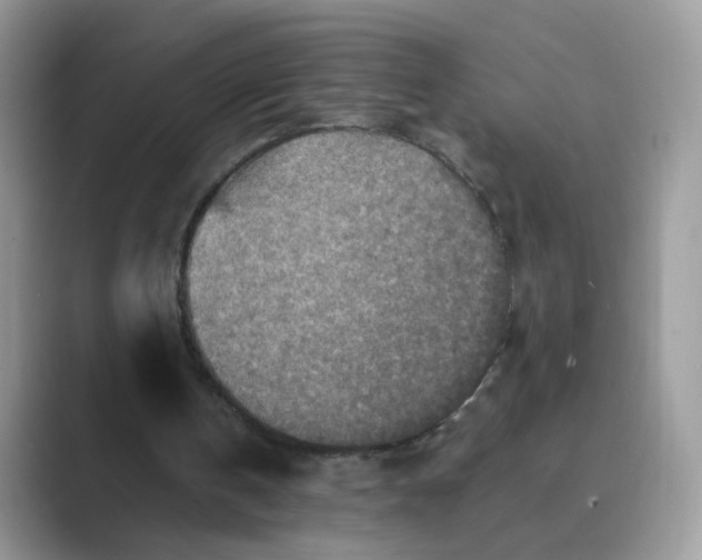 X0000089680146200707051613