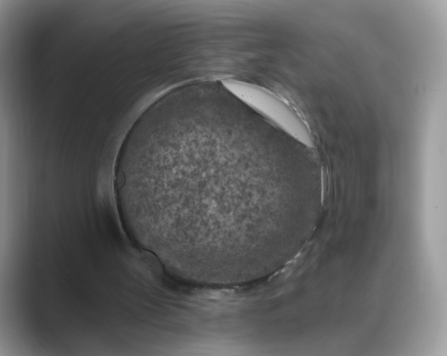 X0000089680147200707051613