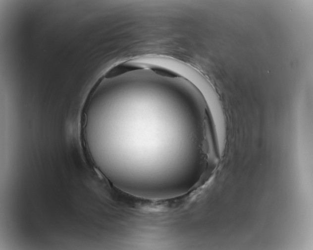 X0000089680148200707051613