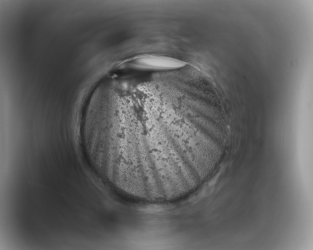 X0000089680149200707051613