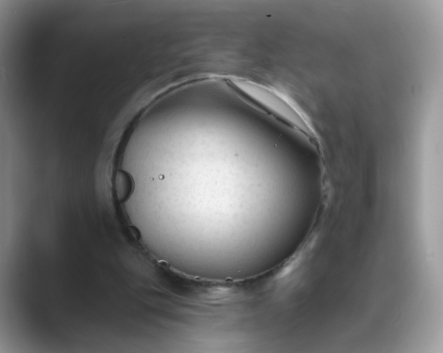 X0000089680151200707051613