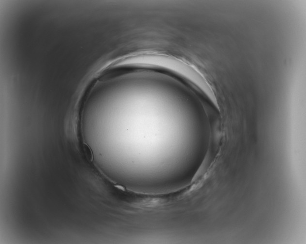 X0000089680152200707051613