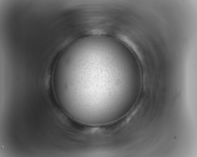 X0000089680153200707051613