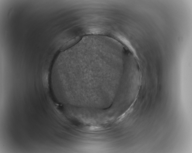 X0000089680154200707051613