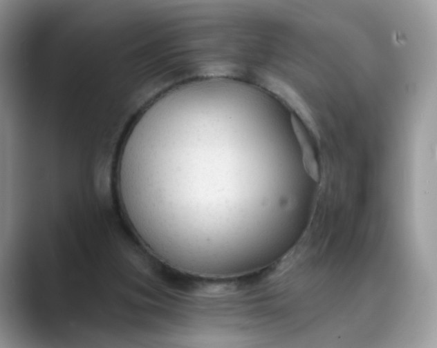 X0000089680155200707051613
