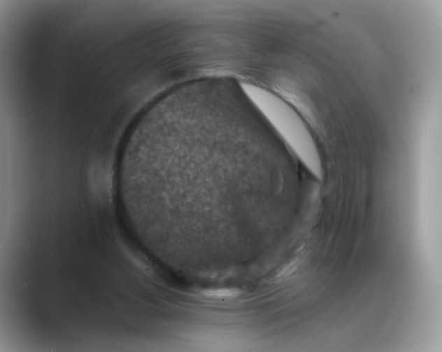 X0000089680156200707051613