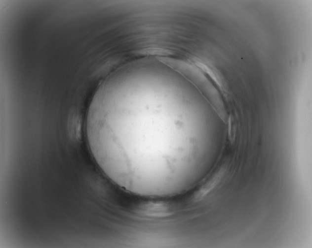 X0000089680157200707051613
