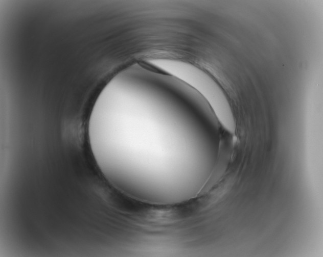 X0000089680160200707051613