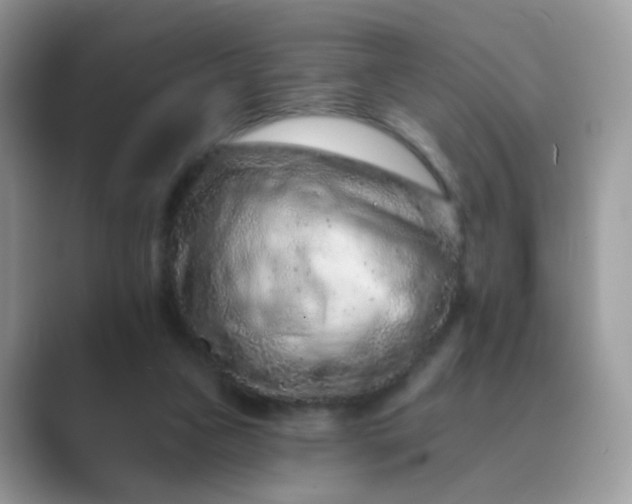 X0000089680161200707051613