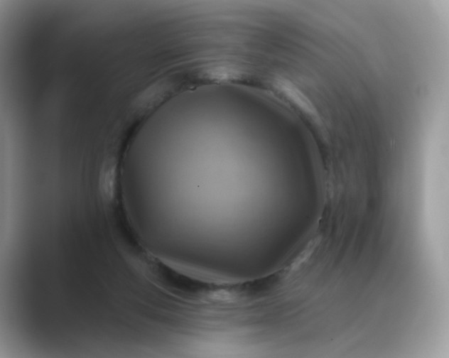 X0000089680163200707051613