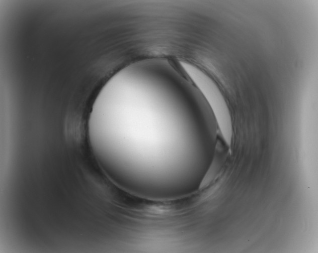 X0000089680164200707051613