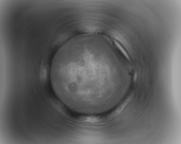 X0000089680165200707051613