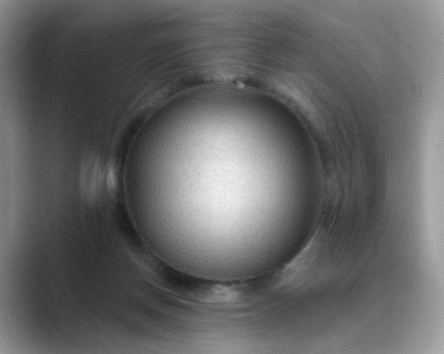 X0000089680166200707051613